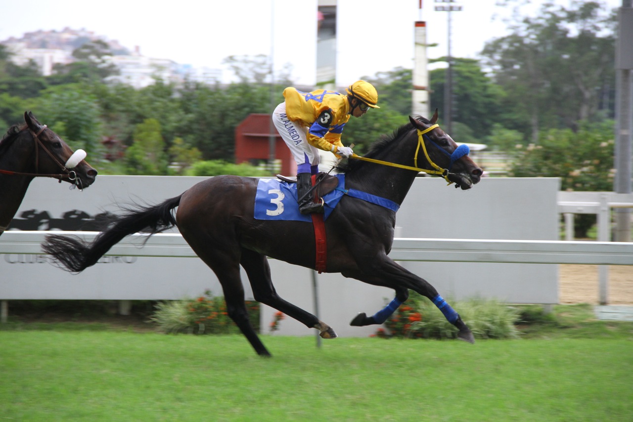 Super Bold Chegada 3
