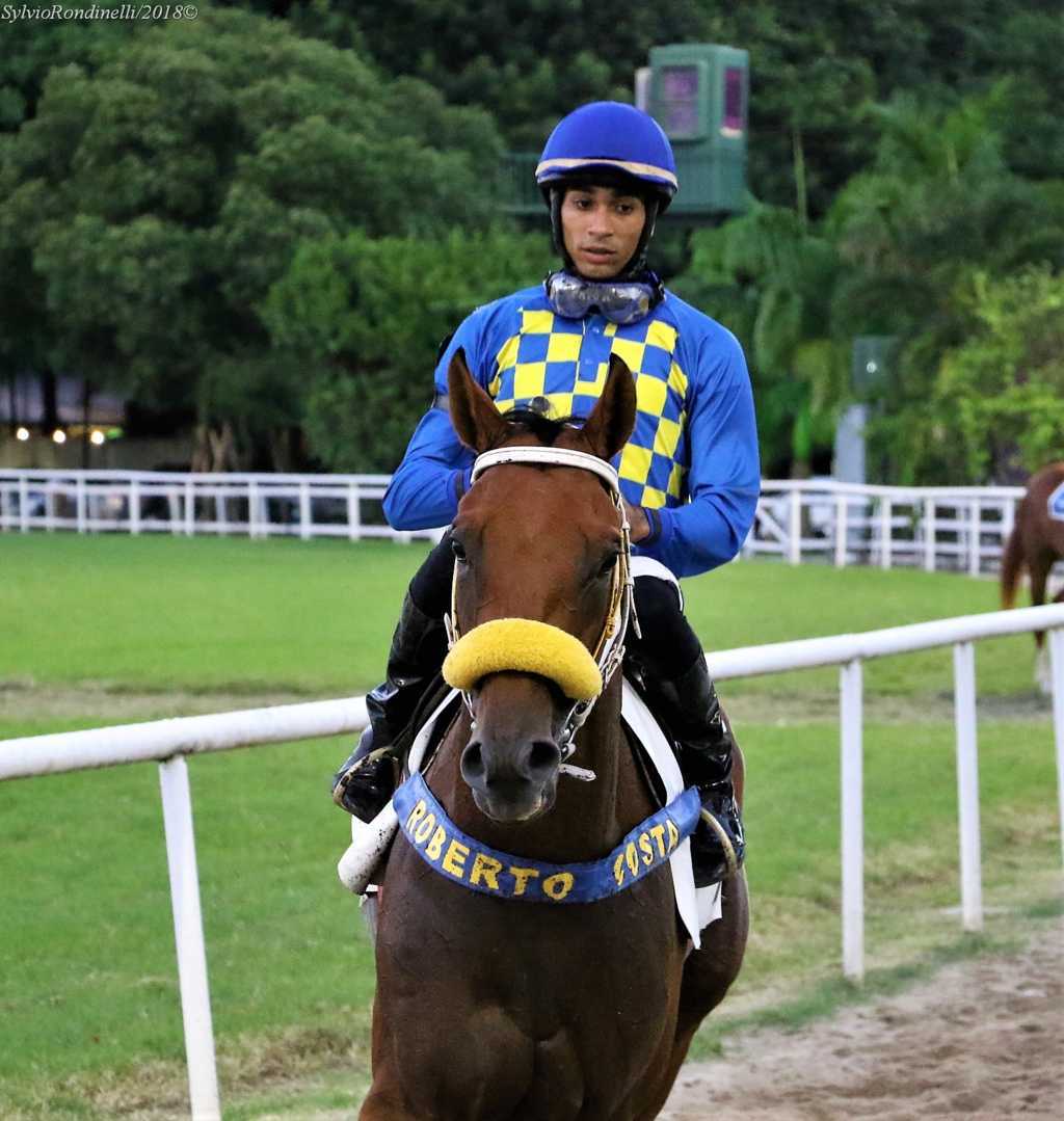 reuniao24032018 (97)