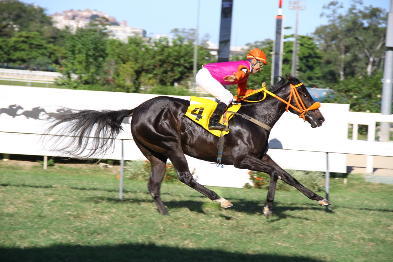 Gentle Giant Chegada 3