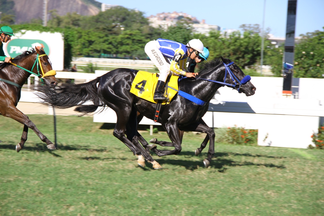 Touriga Chegada 3