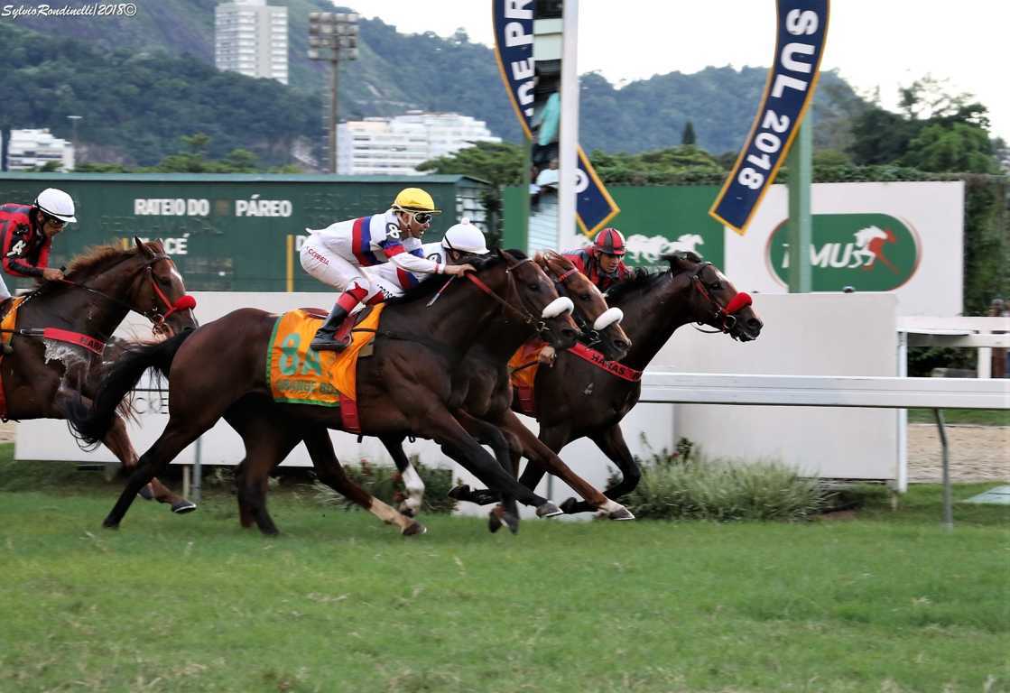 reuniao08042018 (108)