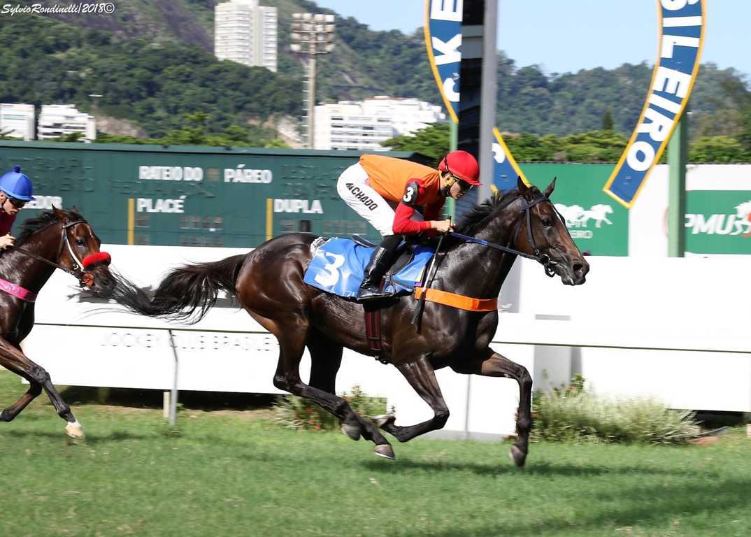 reuniao08042018 (20)