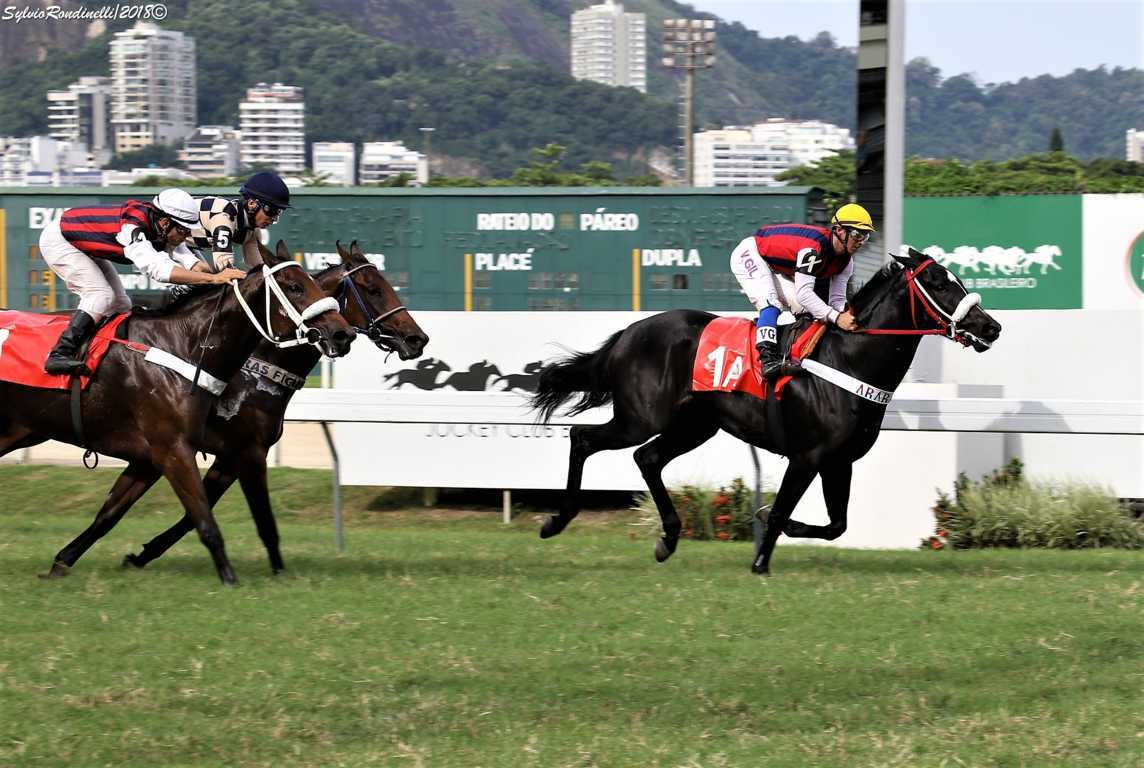 reuniao14052018 (25)