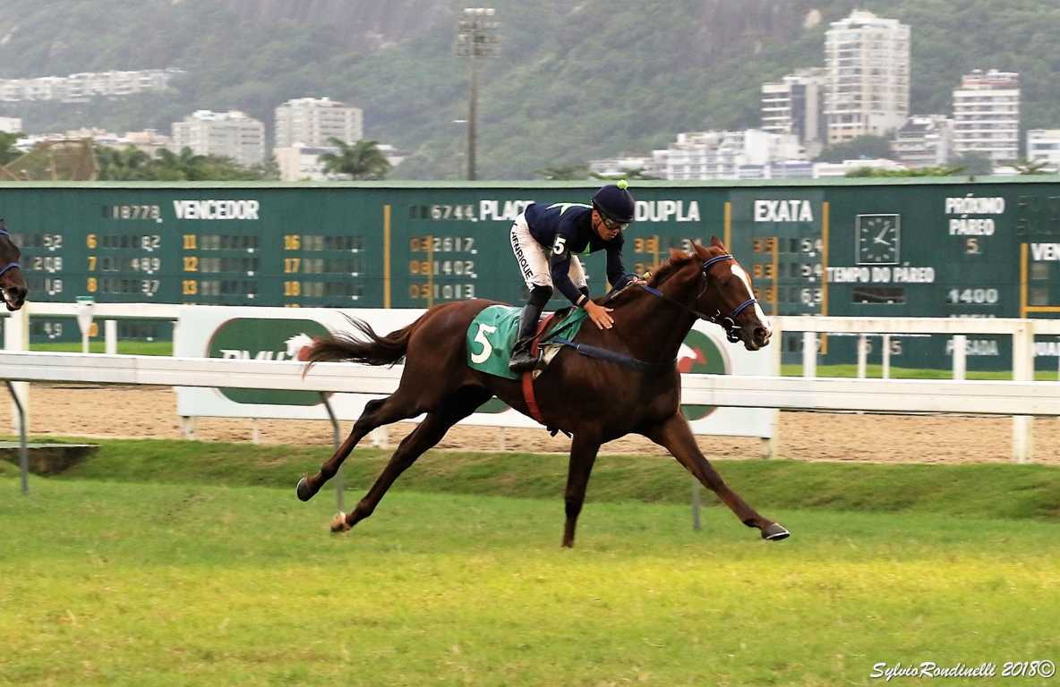 reuniao15042018 (28)