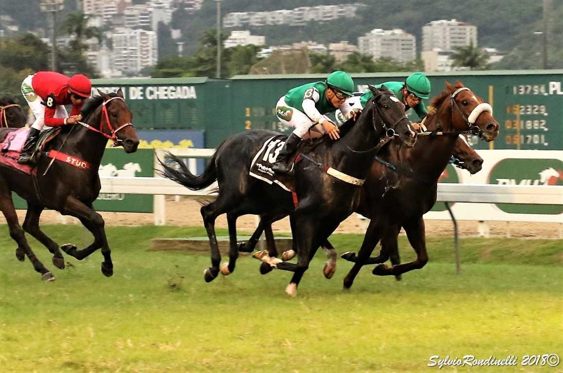 reuniao15042018 (48)
