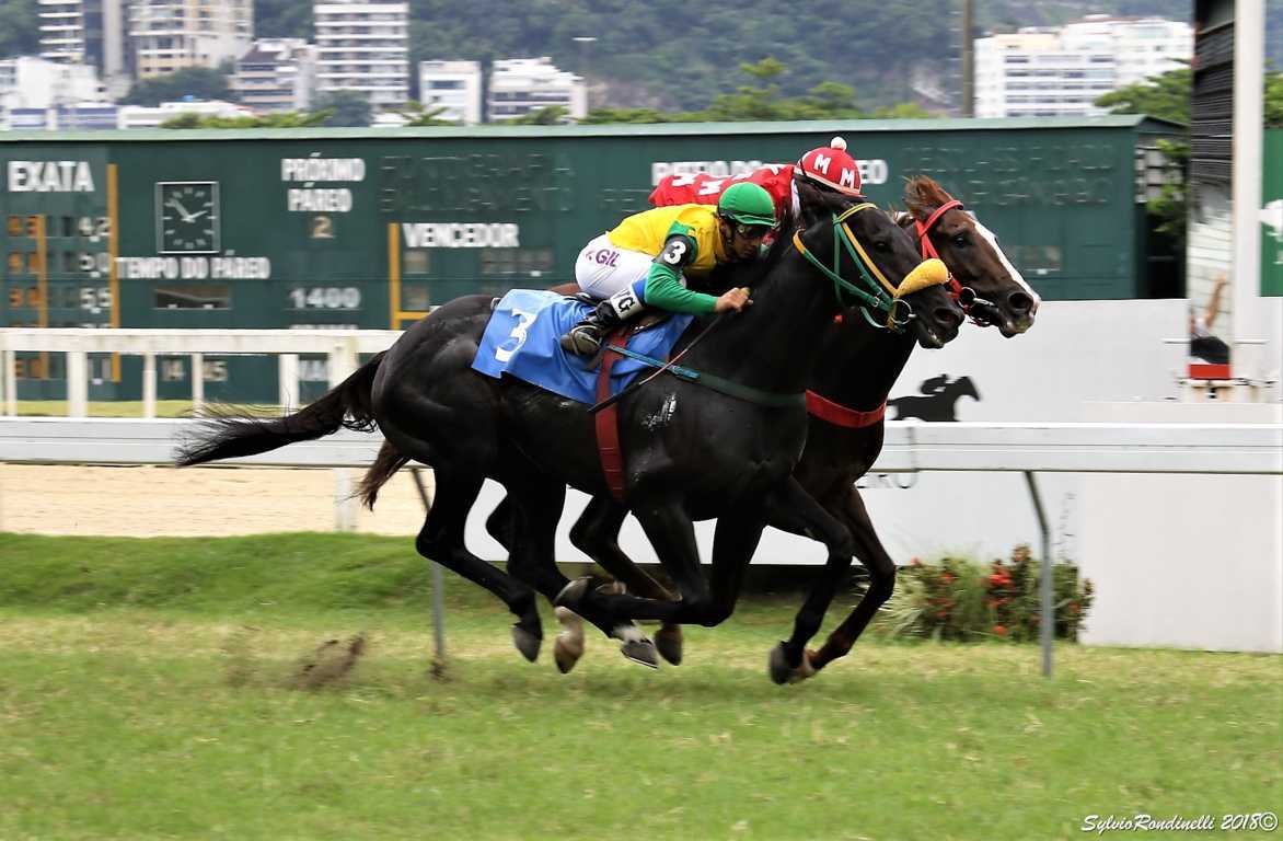 reuniao21042018 (15)