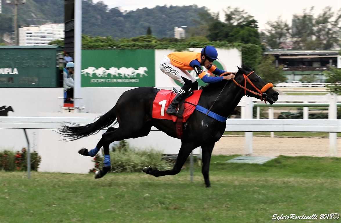 reuniao21042018 (55)