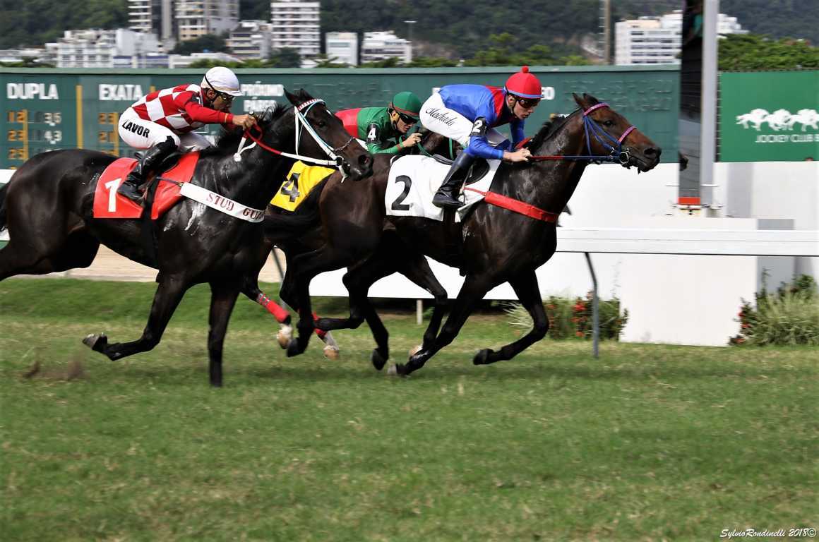 reuniao22042018 (13)