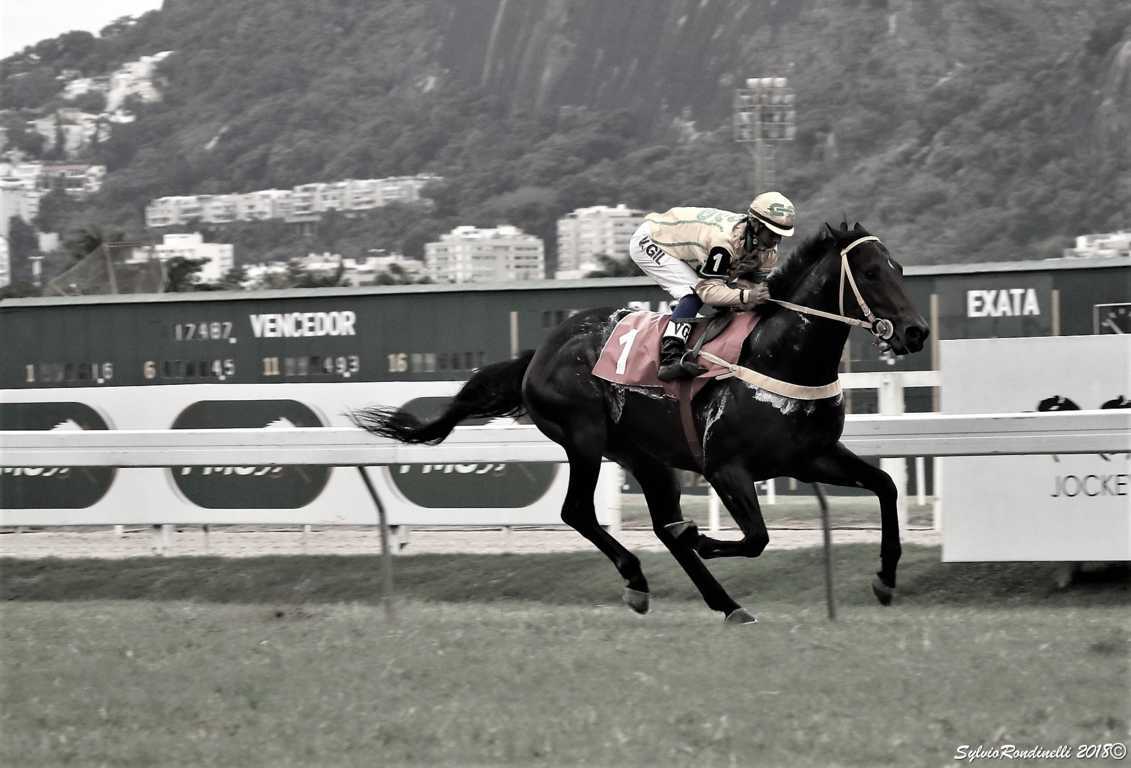 reuniao22042018 (79)
