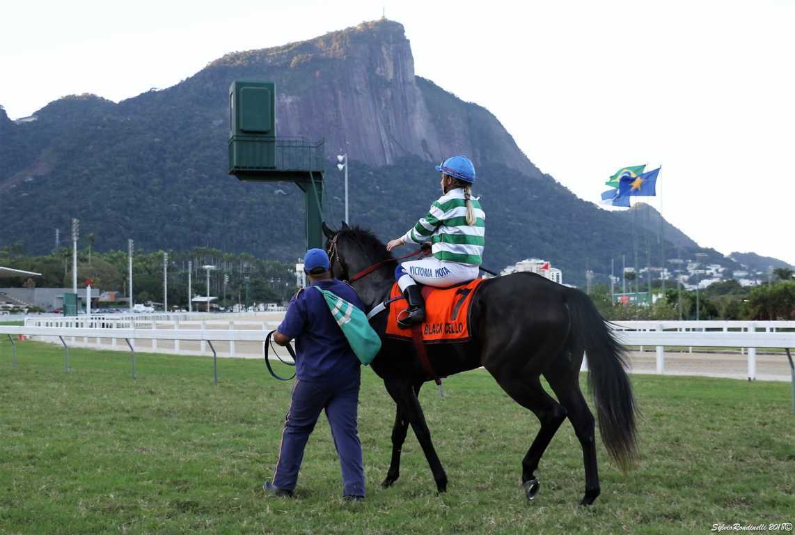 reuniao29042018 (73)