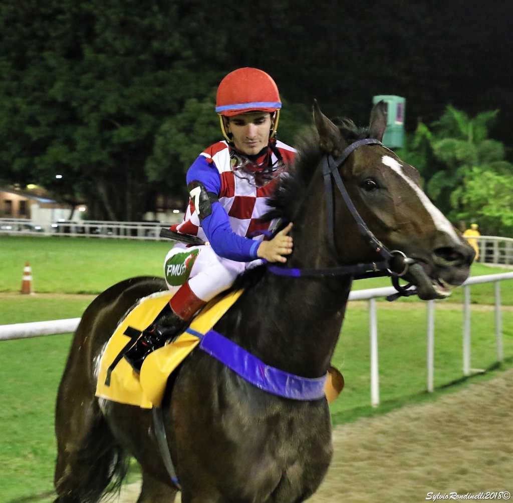 REUNIAO1505 (17)