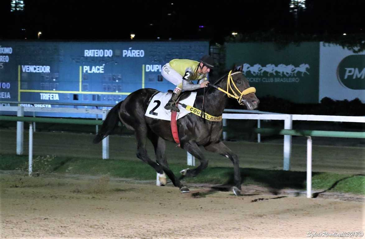 REUNIAO1505 (33)