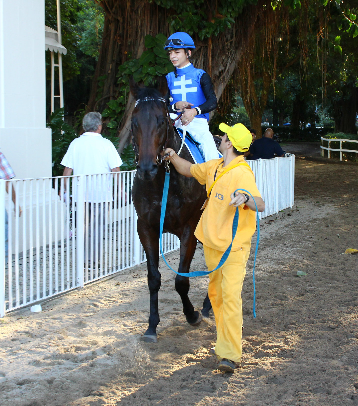 crafty back indo para a foto