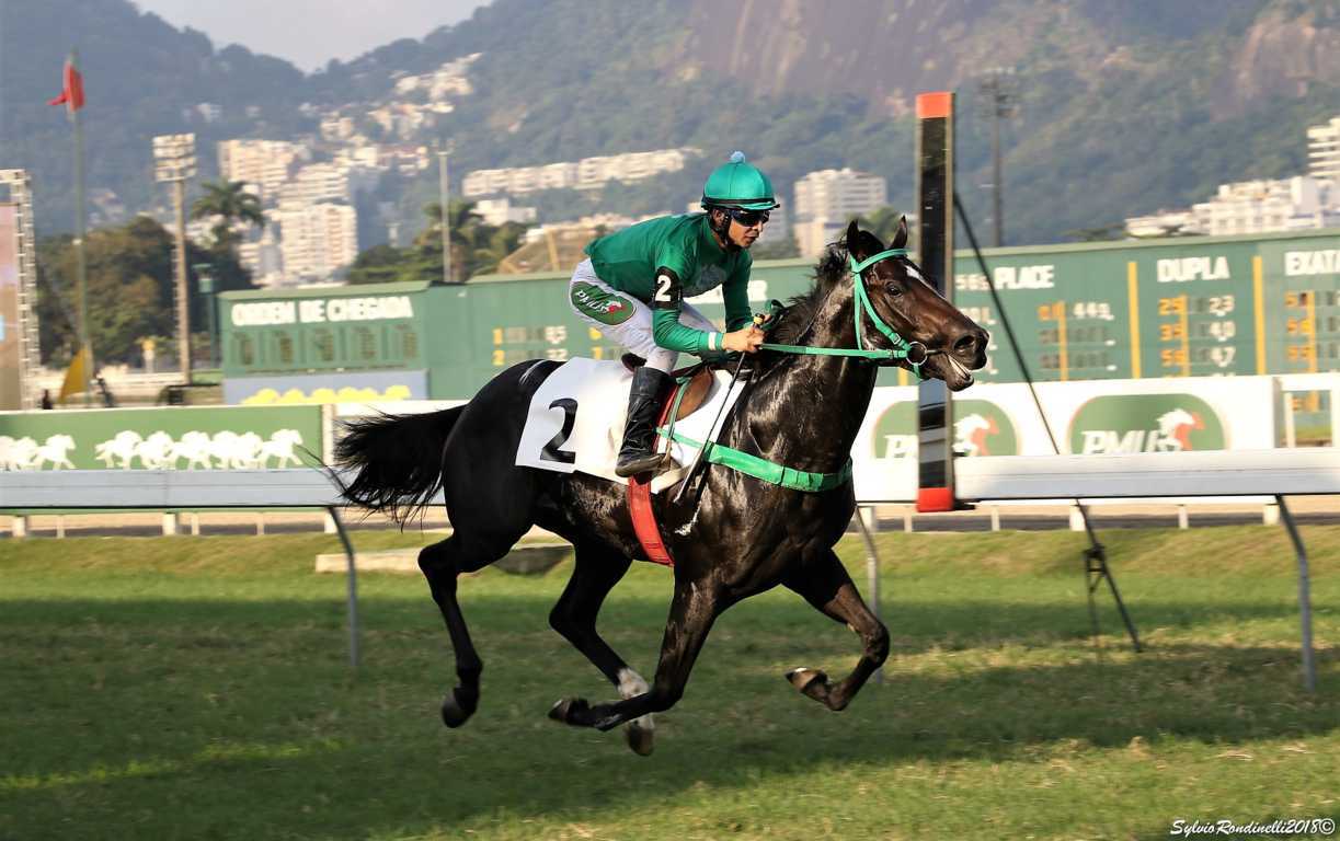 reuniao06052018 (27)