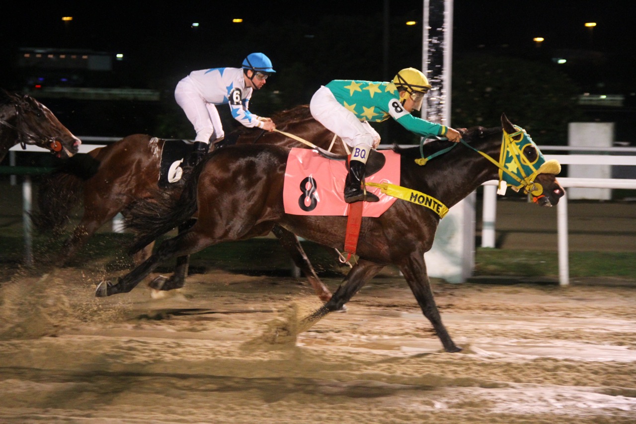 Desejado Gipsy Chegada 3