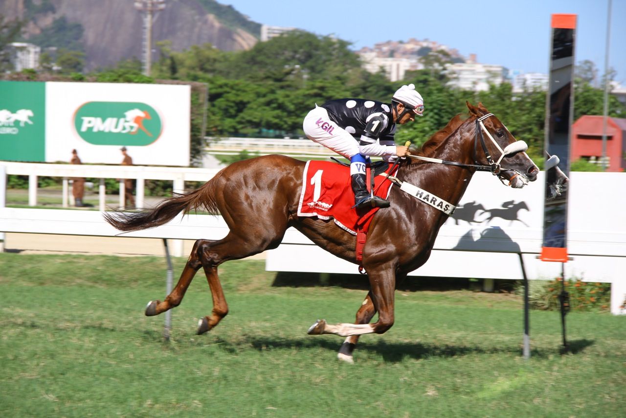 Garbo Talks Chegada (3)