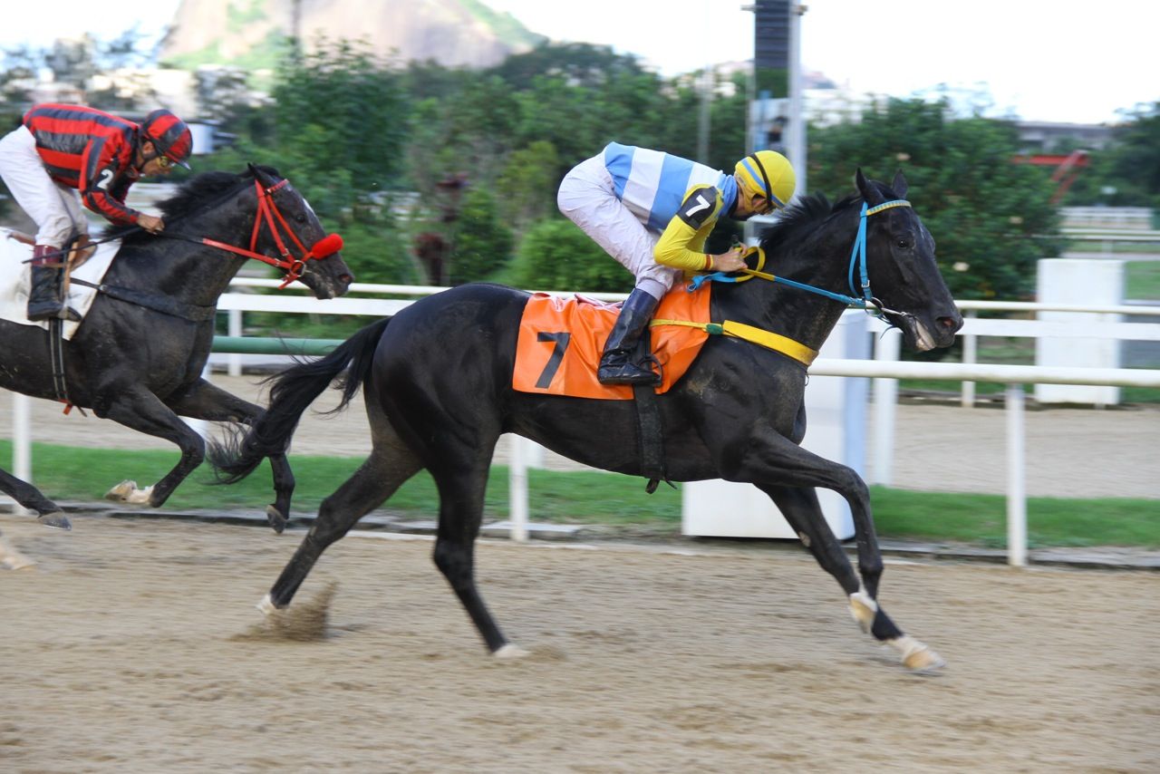 Lamartine Chegada 3