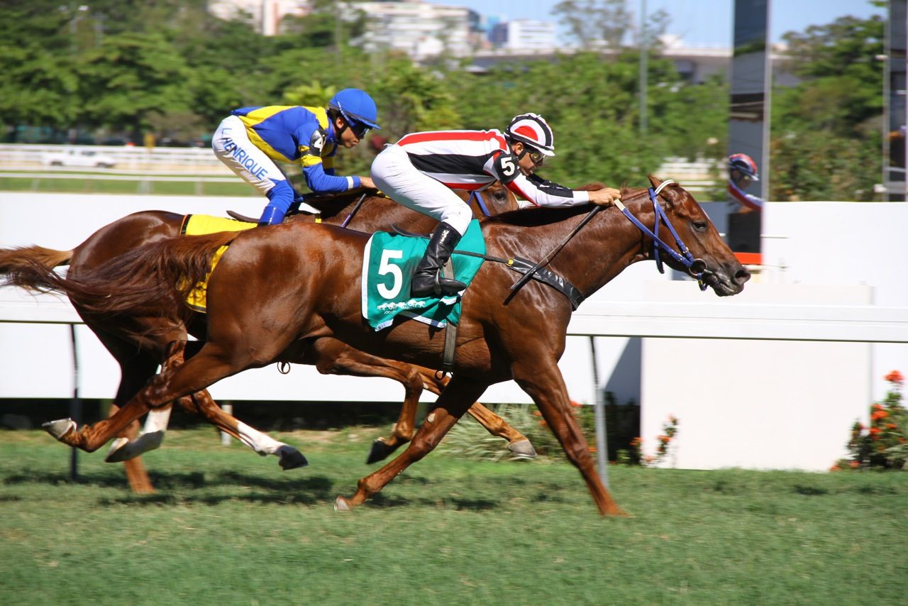 Set Ton Chegada (3)
