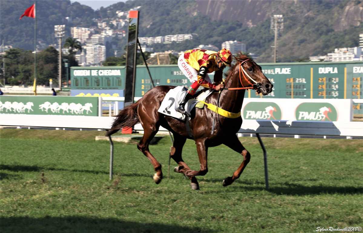 reuniao02062018 (1)