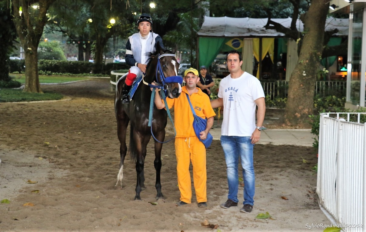 reuniao24062018 (52)