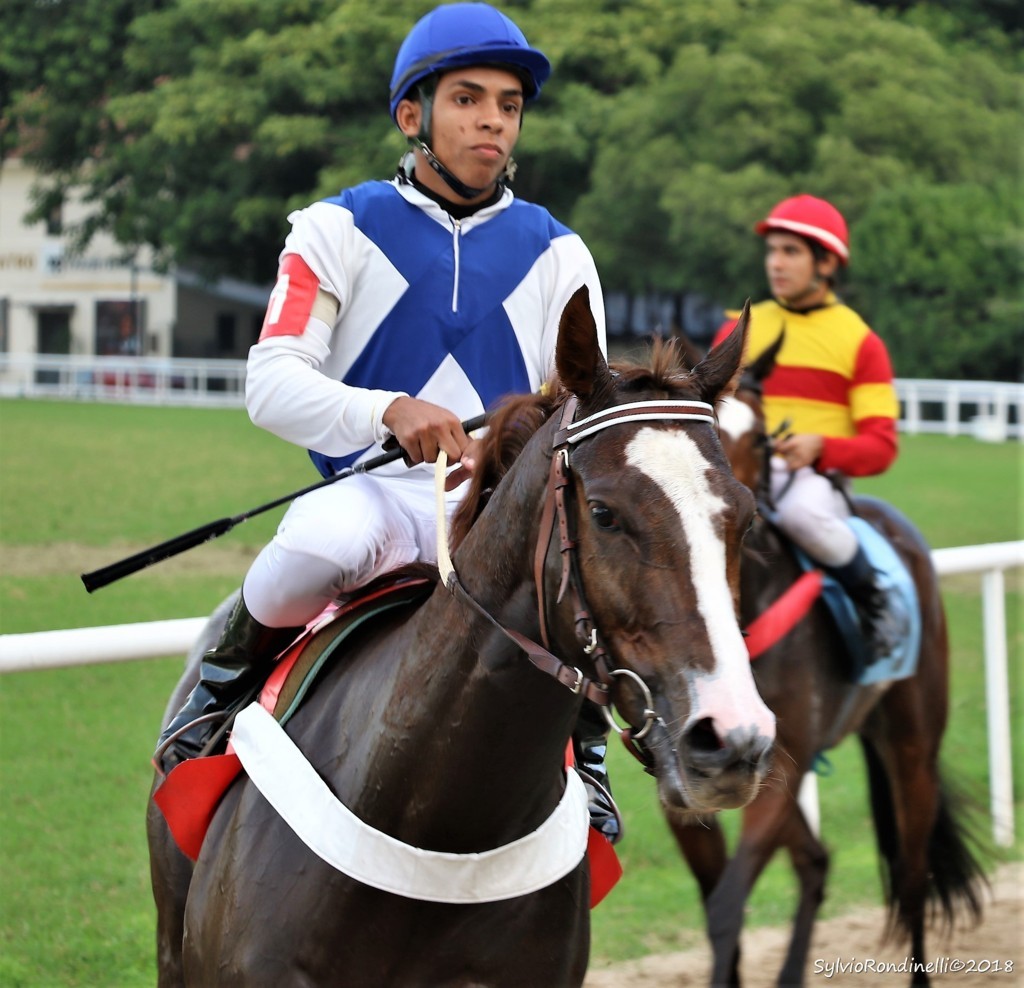reuniao30062019 (57)