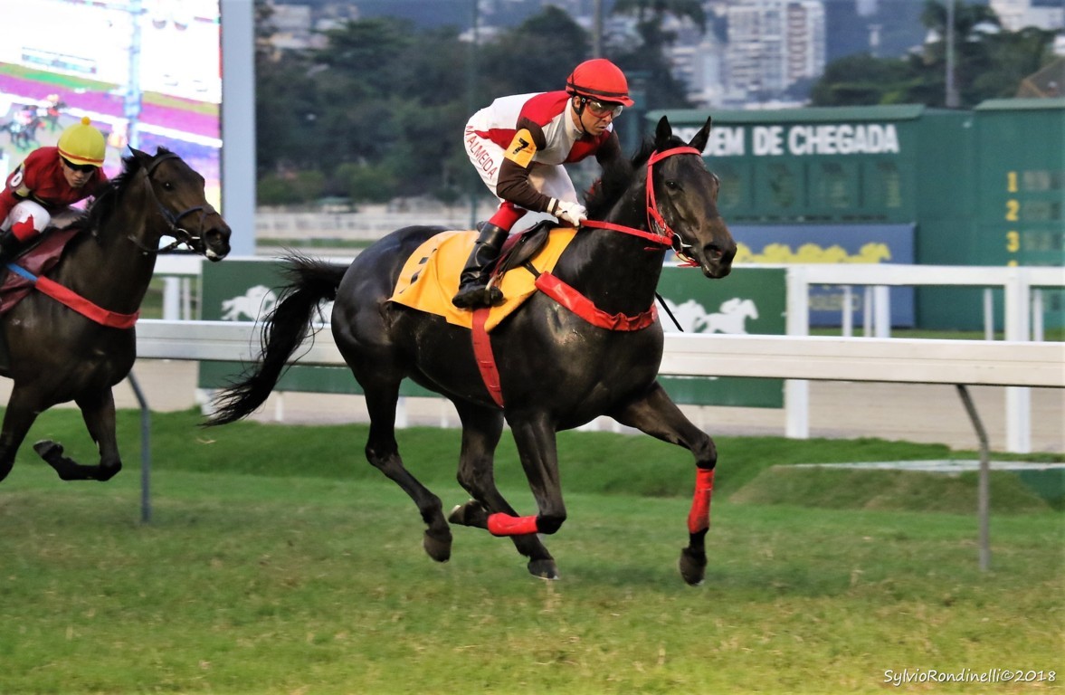 reuniao30062019 (62)