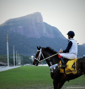reuniao08072018 (57)