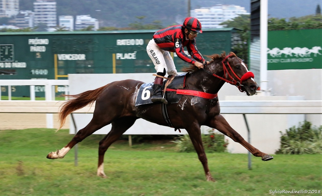 reuniao22072018 (44)