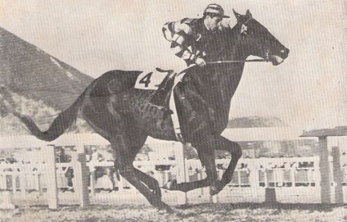 Farwell