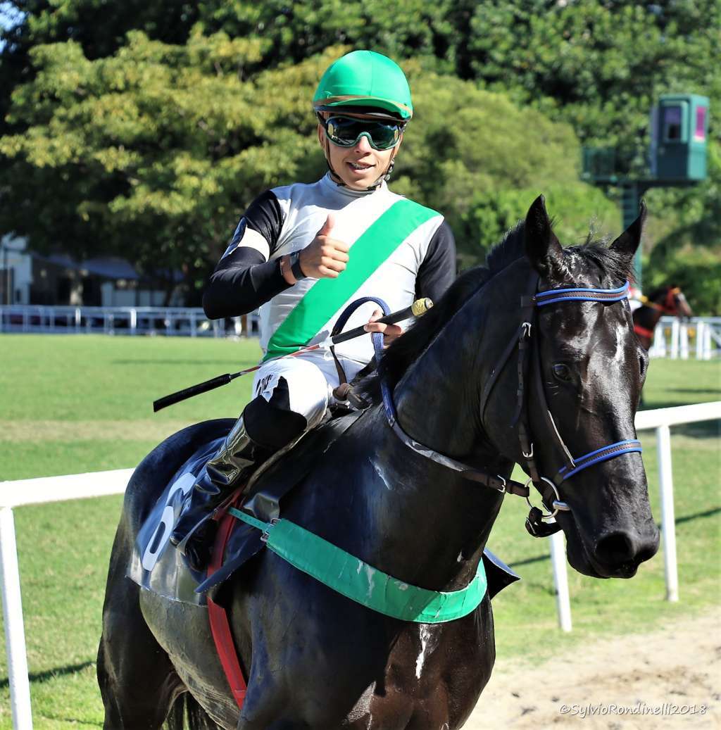 reuniao08092018 (15)