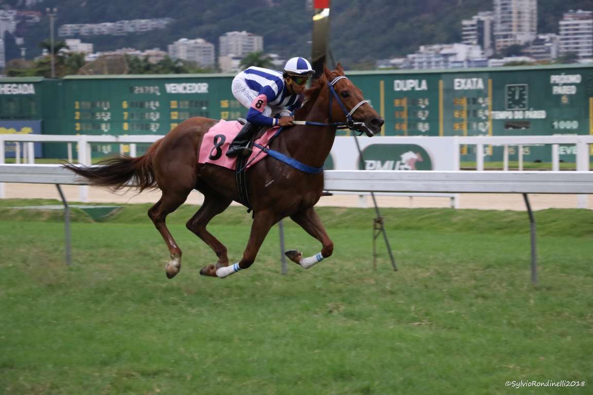 reuniao22092018 (63)