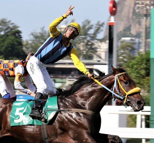 PrincipedaPazpost05