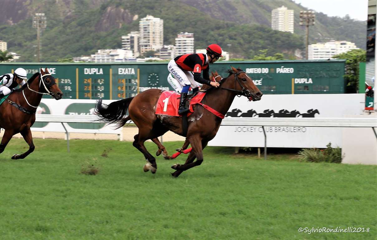 reuniao 28102018 (46)