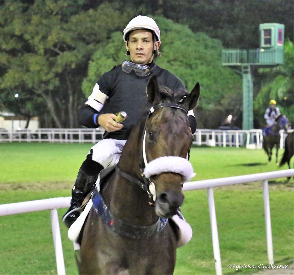 reuniao 03112018 (80)