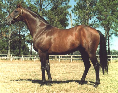 pUBLICpURSE