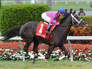 Ascot Belle, de novo (Milton Lodi)