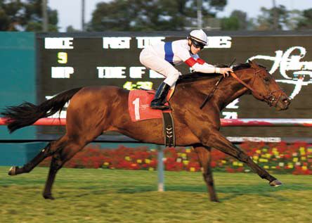 Fluke e Drosselmeyer   (Milton Lodi)