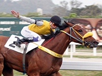 Em franca evolução, High Jinks domina a P.E.Victor Guilhem