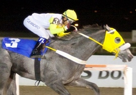 Beduino do Brasil, o grande vencedor do GP Bento Gonçalves (G1)