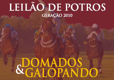 APPS – Hoje, Leilão de Potros na Gávea, com banco de vídeo na internet
