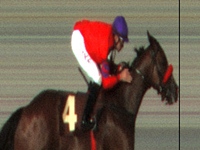 Com a troca de pista, Very Rafaela confirma o favoritismo na P.E. Nelson de Almeida Prado
