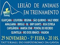 Nesta quinta-feira, 20 horas, Leilão Super Training