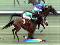 Batismo clássico de Fugazi nos 2.400 metros do GP José Bonifácio Coutinho Nogueira (G2)