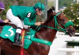 Hegemonia supera Sophia Glory na P.E. Sweet Eternity