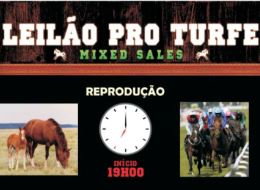Hoje, imperdível Leilão Mixed Sales da Pro Turfe