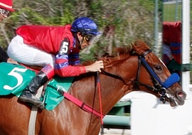 Amazing Speed, do Stud TNT, brilha na P.E.Nuvem