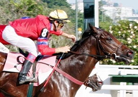 Aristocratico e Angelus Taster, dobradinha do Stud TNT na P.E. Eulogio Morgado