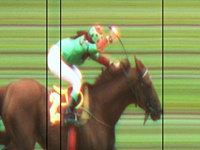 Gambler atropela para levar o bicampeonato da Prova Especial Viziane