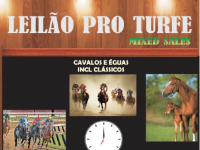 Hoje, 18h30, imperdível Leilão Mixed Sales
