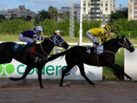 Dez páreos agitam a programação desta quinta-feira no Hipódromo do Cristal